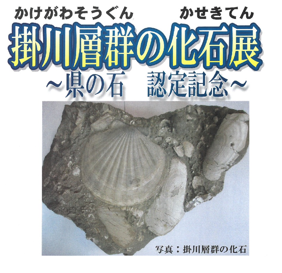 掛川層群の化石展 ～県の石 認定記念～｜お知らせ｜掛川市立図書館